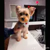 Janetprather - @janetprather94 - TikTok