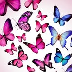 Jane Prior - Facebook