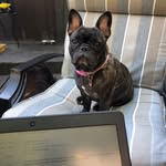 Jane Probst - @jane_probst - Instagram