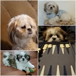 Jane Probst Slater - @janeprobstslater - Instagram