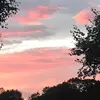 janeproctor1965 - @janeproctor1965 - TikTok