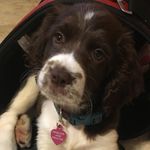 Penelope Jane Proctor - @pennifer_aniston13 - Instagram