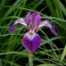 Jayne Propst - Facebook