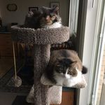 Janet Prouty - @janet.d.prouty - Instagram