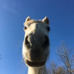 Jane Provost - @janeprovost - Instagram