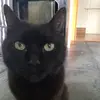 Epic draiby - @jane.pryor04 - TikTok