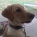 Jane Pryor - Facebook