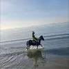 janepryor3 - @janepryor3 - TikTok