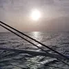 Janet Reppucci Mele - @janet.reppucci.me - TikTok