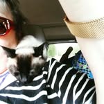 Jane Pulliam - @chitchajpulliam - Instagram