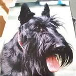 Jane Purchase - @purchasej - Instagram