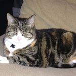 Jane Sherwood - @jane_purchases - Instagram