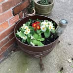 Jane Quick - Facebook