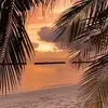jane.quick - @jane.quick - TikTok