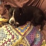 Jane - @quiltyjanet - Instagram