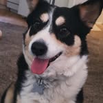 Jane Rae - @janera.e - Instagram