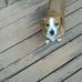 Jeanie Rainwater - Facebook
