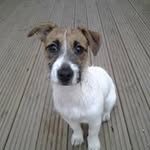 Jane Ratcliffe - @j.ratcliffe29 - Instagram