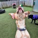 Jane Ratcliffe - @jane_rat - Instagram