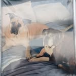 Jane Ratcliffe - @ratcliffe4851 - Instagram