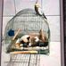 Jane Stockman Rauch - Facebook