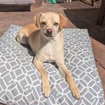 Jane Rauscher - @jane.elizabeth.r - Instagram