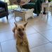 Jane Ready - Facebook