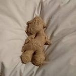 Jane Reardon - @reardon.jane - Instagram