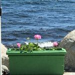 Jane Reardon - @ocean__cottage - Instagram