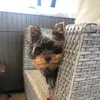 jane_rebel - @jane_rebel - TikTok