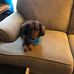 Jane Redding - Facebook