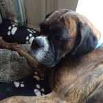 Jane Rees - @janerees65 - Instagram