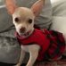 Jane Regenold - Facebook