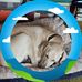 Jane Regenold-Wenzel - Facebook