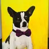 janeregenold - @janeregenold - TikTok
