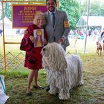 Janet Reisinger Cupolo - @reisingercupolo - Instagram