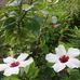 Jane Rendon - Facebook