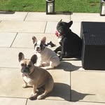 Jane Rennocks - @janerenn - Instagram