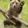 Jane Renton - @janerenton359 - TikTok