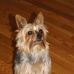 Jane Rhoades - Facebook