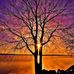 Jane Rhoades - Facebook