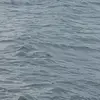 janericher - @janericher1 - TikTok