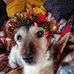 Jane Richey - Facebook
