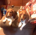 Jane Richey - Facebook