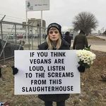 Jane Richman - @richmanjane - Instagram