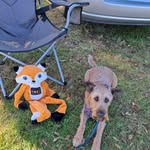 Jane Rickerby - @janerickerby - Instagram