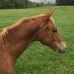 Mary Jane Rickman - Facebook