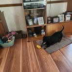 Jane Riddle - Facebook