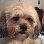 Jane Ridge - @ridge_jane - Instagram