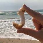 dr janice rieger - @dr.janice_rieger - Instagram